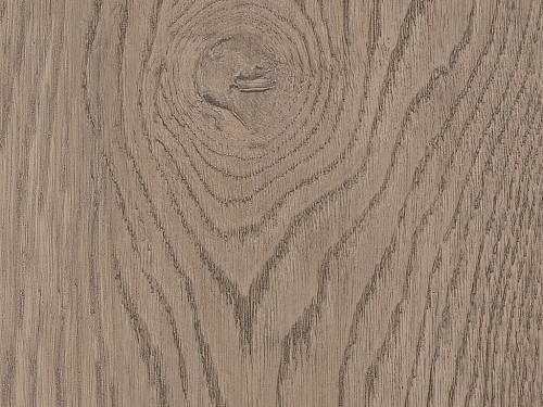 AMTICO FIRST Wood Harvest oak SF3W2774