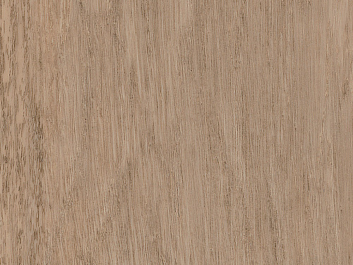 AMTICO FIRST Wood Wheat oak SF3W2775