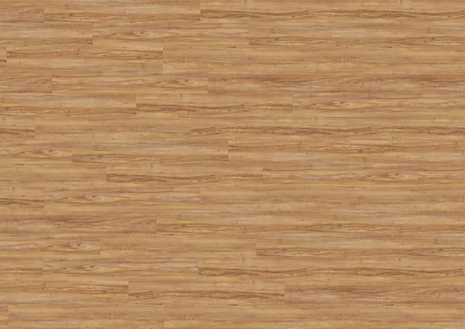 WINEO 800 wood Javor honey warm DLC00081