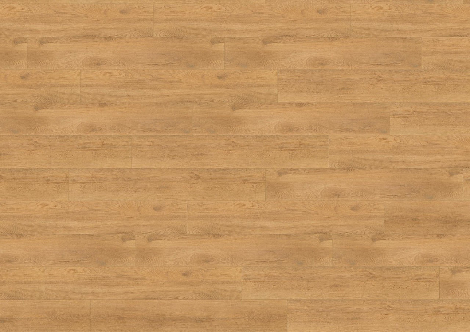 WINEO 1200 wood XL Let's go max PL270R