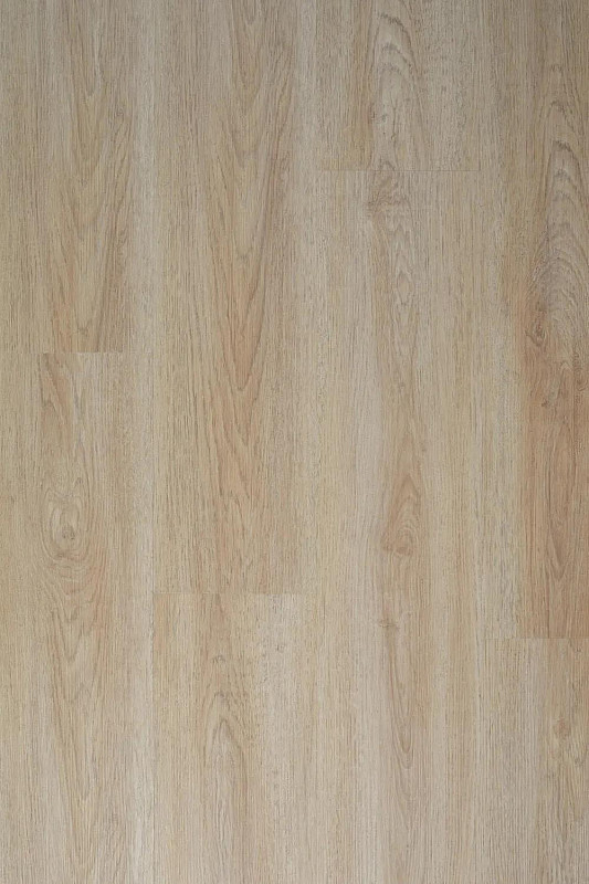 CANADIAN DESIGN XXL premium Dub barrie 8594187733179