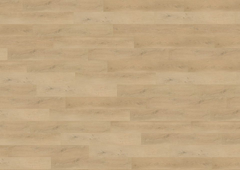 WINEO 400 wood L Plain oak beige DB281WL