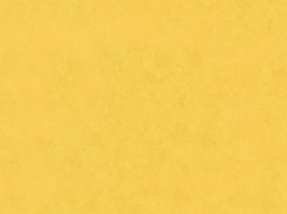WINEO 1500 chip Honey mustard PLR128C
