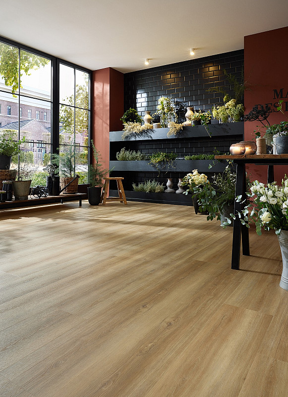 WINEO 800 wood XL Bradford oak honey DB835WXL