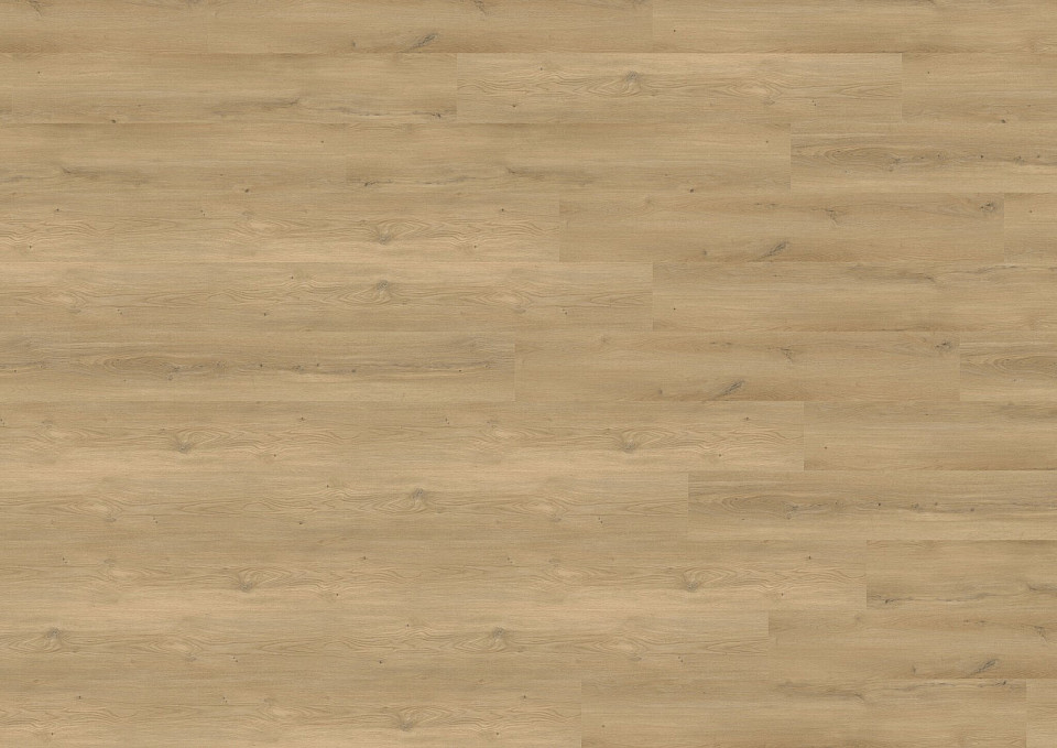 WINEO 800 wood XL Stavanger oak nature MLD833WXL