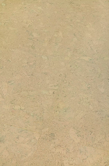 AMORIM WICANDERS Wise cork inspire Shell marfim 80003484