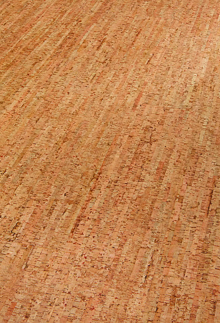 AMORIM WICANDERS Wise cork inspire Traces natural 80003481