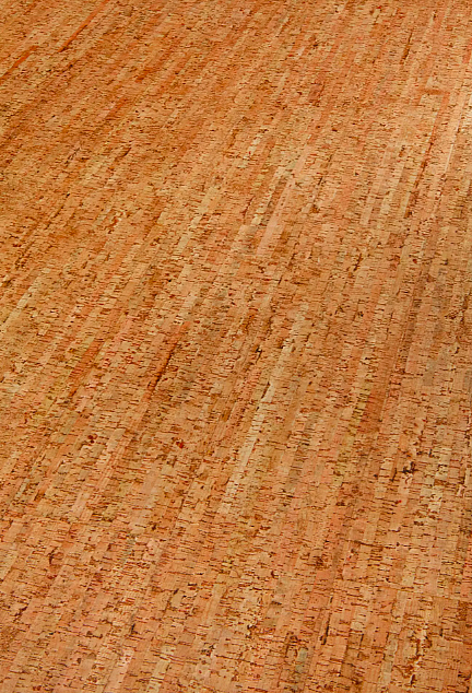 AMORIM WICANDERS Wise cork inspire Traces spice 80003478