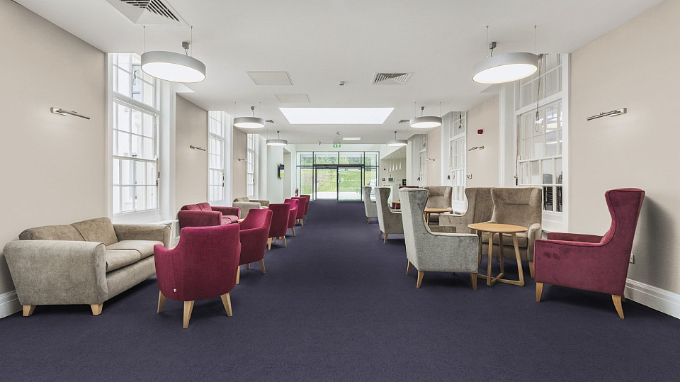 FORBO Flotex Advance Code Grape S203082