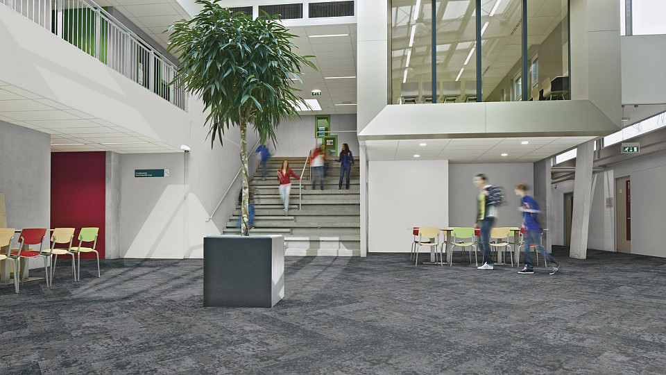 FORBO Flotex Planks Montage Arctic 147007