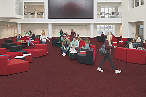 FORBO Flotex Advance Code Berry S203083 - Speciální podlaha