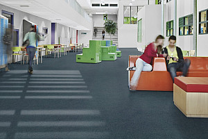 FORBO Flotex Advance Code Carbon S203080 - Speciální podlaha