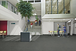 FORBO Flotex Advance Code Concrete S203079 - Speciální podlaha