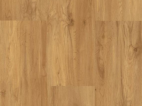 FLOOVER Splash2o design 0,3 Dub sluneční SD30-1903