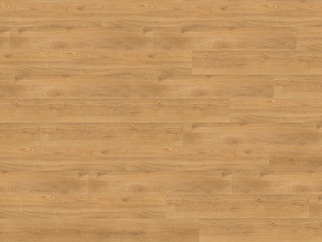 WINEO 1200 wood XL Let's go max PLC270R