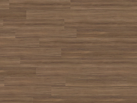 WINEO 400 wood XL Cool walnut dark DB298WXL