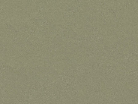 FORBO Marmoleum solid walton Rosemary green 3355
