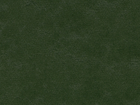 FORBO Marmoleum solid walton Bottle green 3359