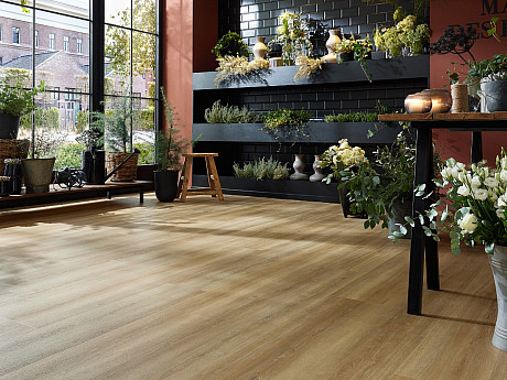 WINEO 800 wood XL Bradford oak honey DB835WXL