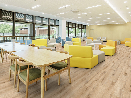 GERFLOR Creation 55 Cedar natural GERC55 1607