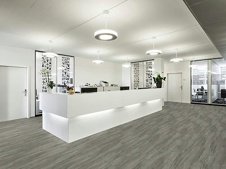 FATRA Thermofix pro wood Buk arktický 14170-1