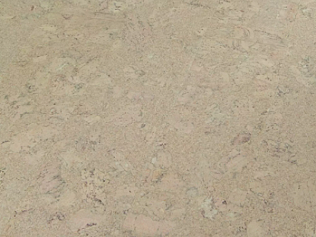 AMORIM WICANDERS Wise cork inspire Shell jasmin 80003483