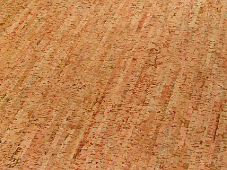 AMORIM WICANDERS Wise cork inspire Traces natural 80003481