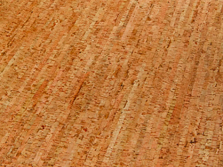 AMORIM WICANDERS Wise cork inspire Traces spice 80003478