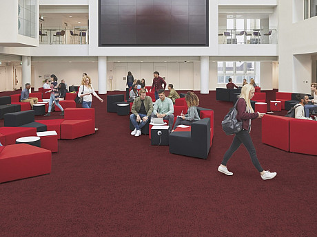 FORBO Flotex Advance Code Berry S203083