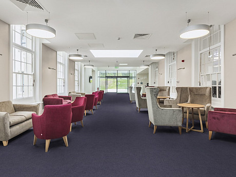 FORBO Flotex Advance Code Grape S203082