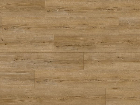 EXPERTO LVT 30 Dub narra 211230EL-07