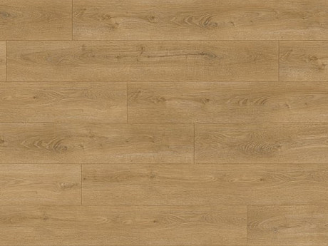 EXPERTO LVT 30 Dub stella 2081L-16