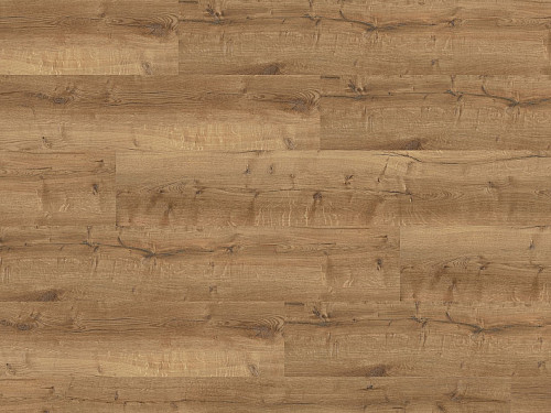 WINEO 600 wood XL Vienna loft DB196W6