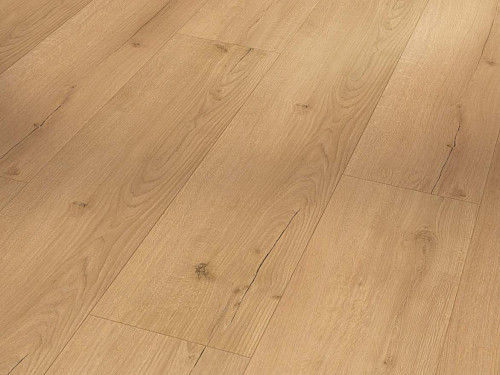 PARADOR Basic 5.3 SPC Dub infinity přírodní svěží struktura 1744607
