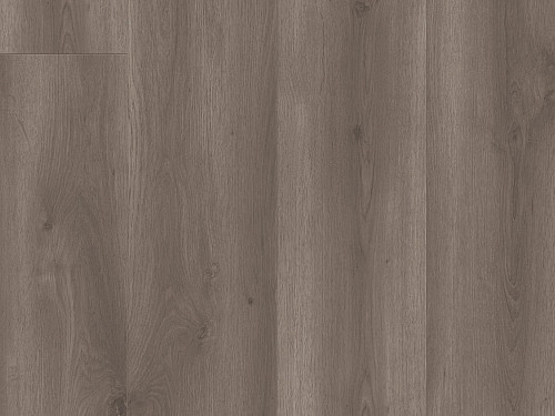 TARKETT Starfloor click solid 55 Contemporary oak brown 36024112