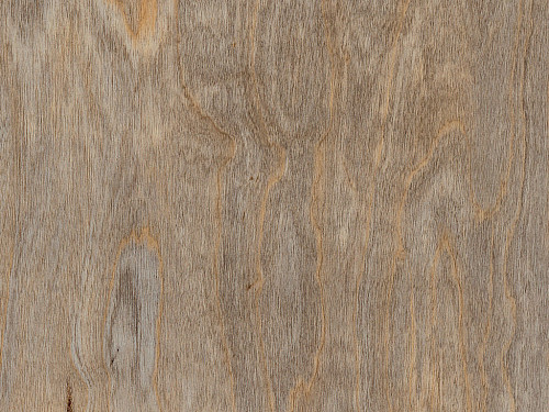 AMTICO FIRST Wood Bleached elm SF3W2516