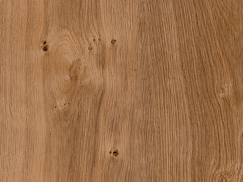 AMTICO FIRST Wood English oak SF3W2498