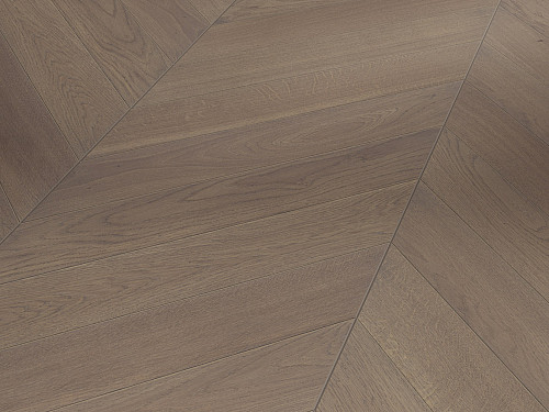 PARADOR Trendtime 10 chevron Natur Dub terra 1748486
