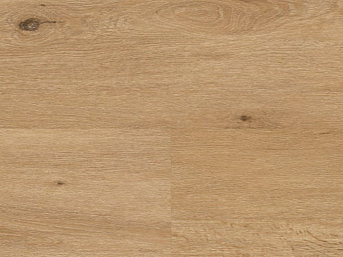 WINEO 400 wood XL Country oak nature DB294WXL
