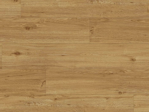 EXPERTO LVT 55 Dub ravello 6110-71
