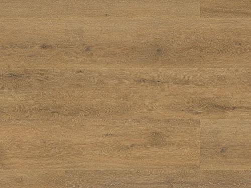 FLOOR FOREVER Authentic oak Dub pážecí 4010