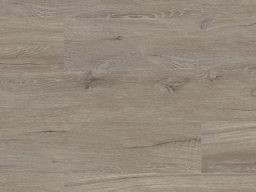 FLOOR FOREVER Authentic oak Dub šlechtický 5020