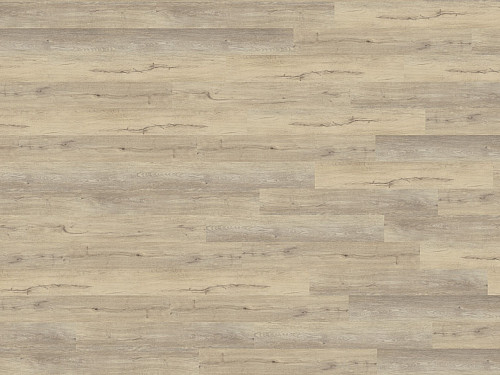 WINEO 800 wood L Stockholm oak taupe DB816WL