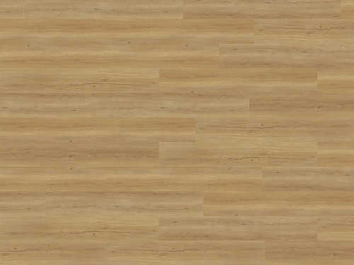 WINEO 800 wood XL Bradford oak honey DB835WXL