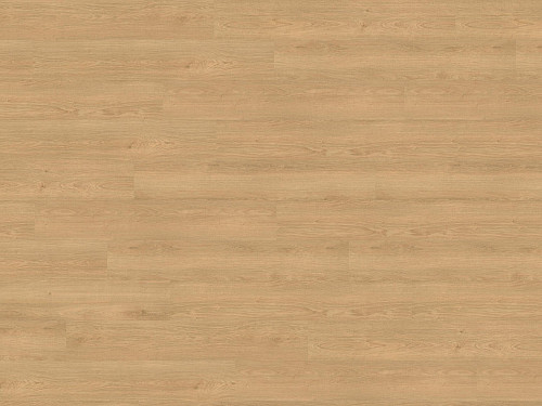 WINEO 1500 wood XL Siena oak honey PL15221WXL