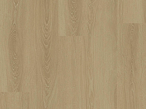 CORETEC Surplus Elegance oak 76 50RLV3676