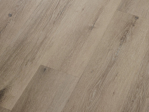 CORETEC Surplus Noble oak 55 50RLV3955