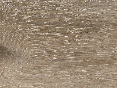 CORETEC Surplus Noble oak 55 50RLV3955