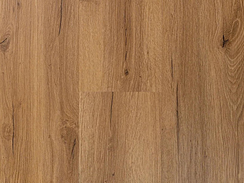 CANADIAN DESIGN Dry back canadian professional Dub canmore 8594187731663