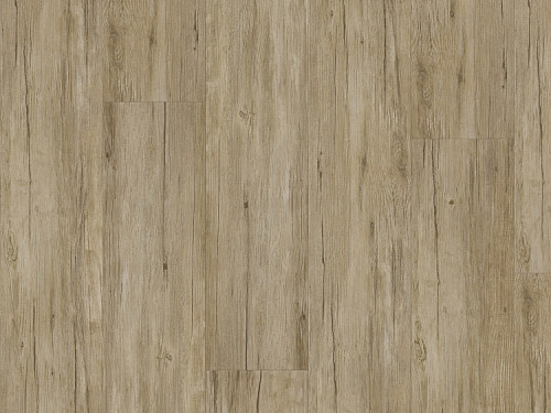 FATRA Thermofix pro wood Buk templářský 14172-1